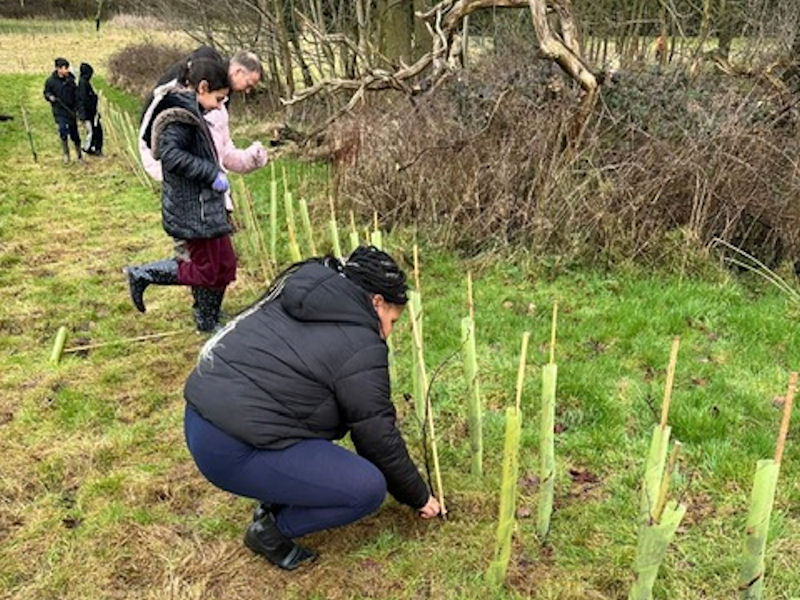 Tree Planting at Columban Fathers