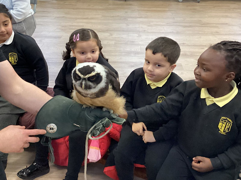 EYFS Meet the Animal Man